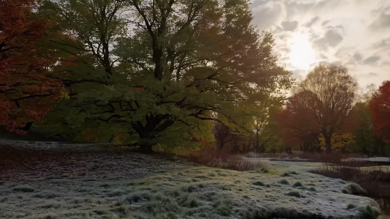 A serene landscape video captures a frosty meadow at dawn, with a low-angle view highlighting autumn