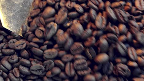 close up of the coffee beans while they are turned over with a spatula after roasting to check a batch