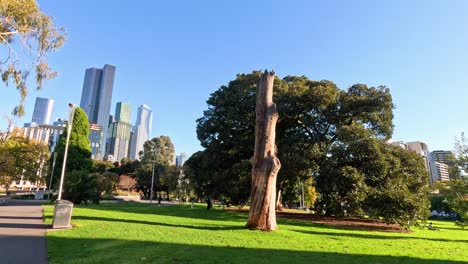 park with trees and city skyline