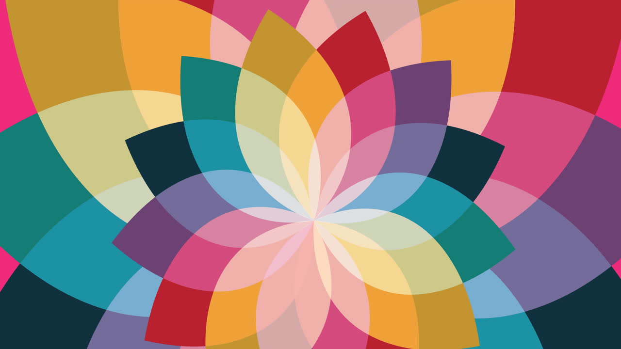 분홍색 배경 에 있는 다채로운 꽃 의 애니메이션