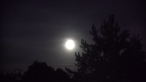 luna llena con nubes nocturnas y un gran árbol malvado