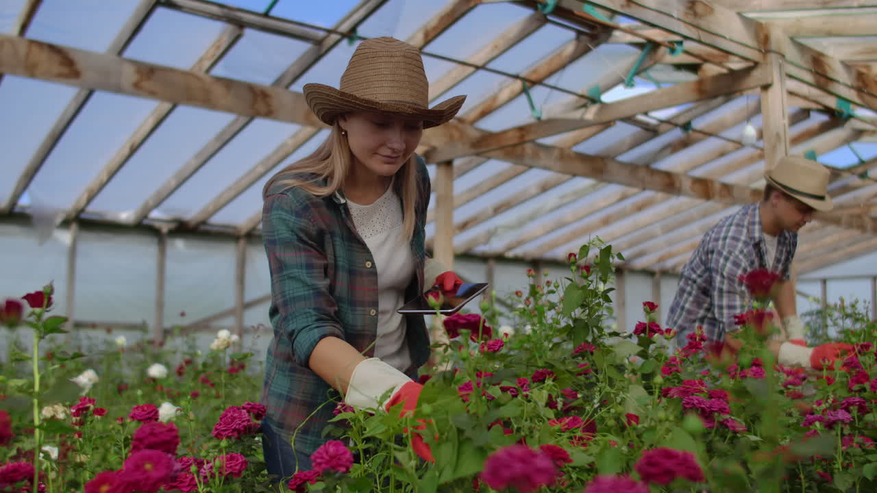 Moderna piccola attività di floricoltura. Colleghi fioristi lavorano insieme con tablet in una serra. Due moderni giardinieri ispezionano insieme i boccioli dei fiori.