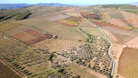 aerial shot of multiple farm fields