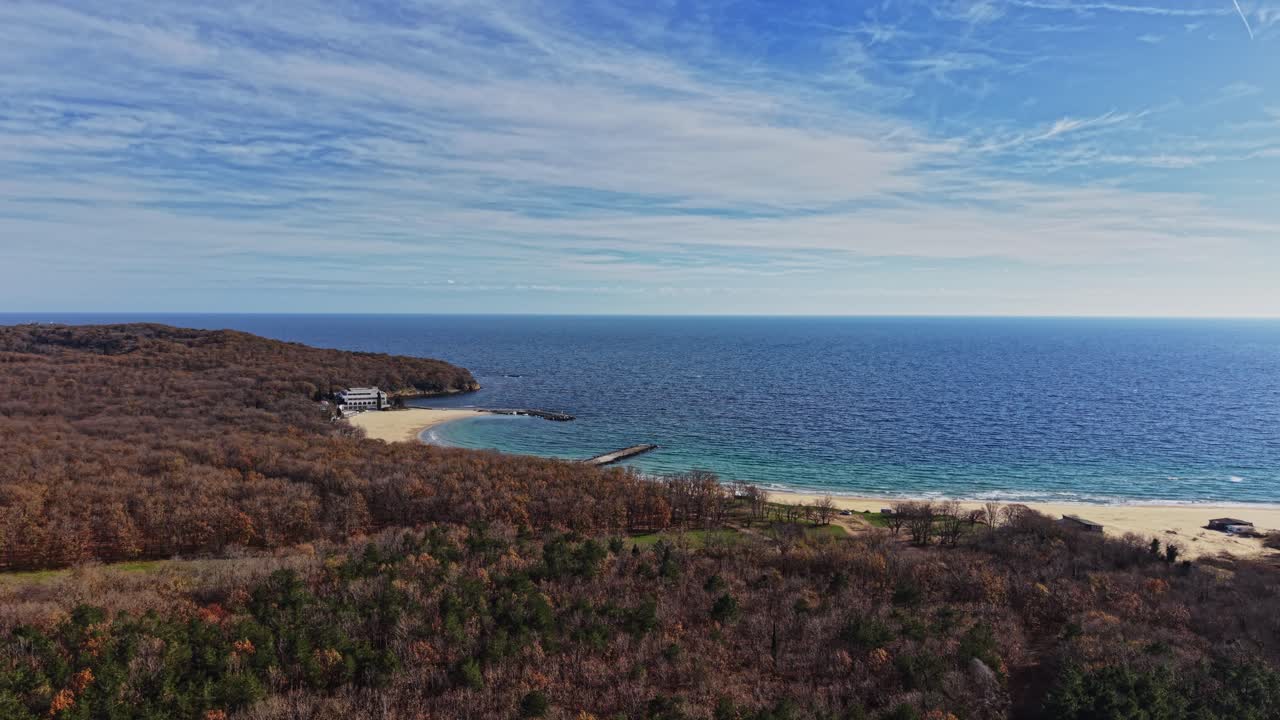Scenic aerial view of coastal landscape with blue ocean and forest