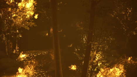 fires raging through a dense forest during a dark evening in the summer