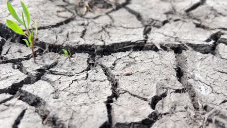 earth drought and climate change dry cracked soil after severe drought earth drought and climate change dry cracked soil after severe drought