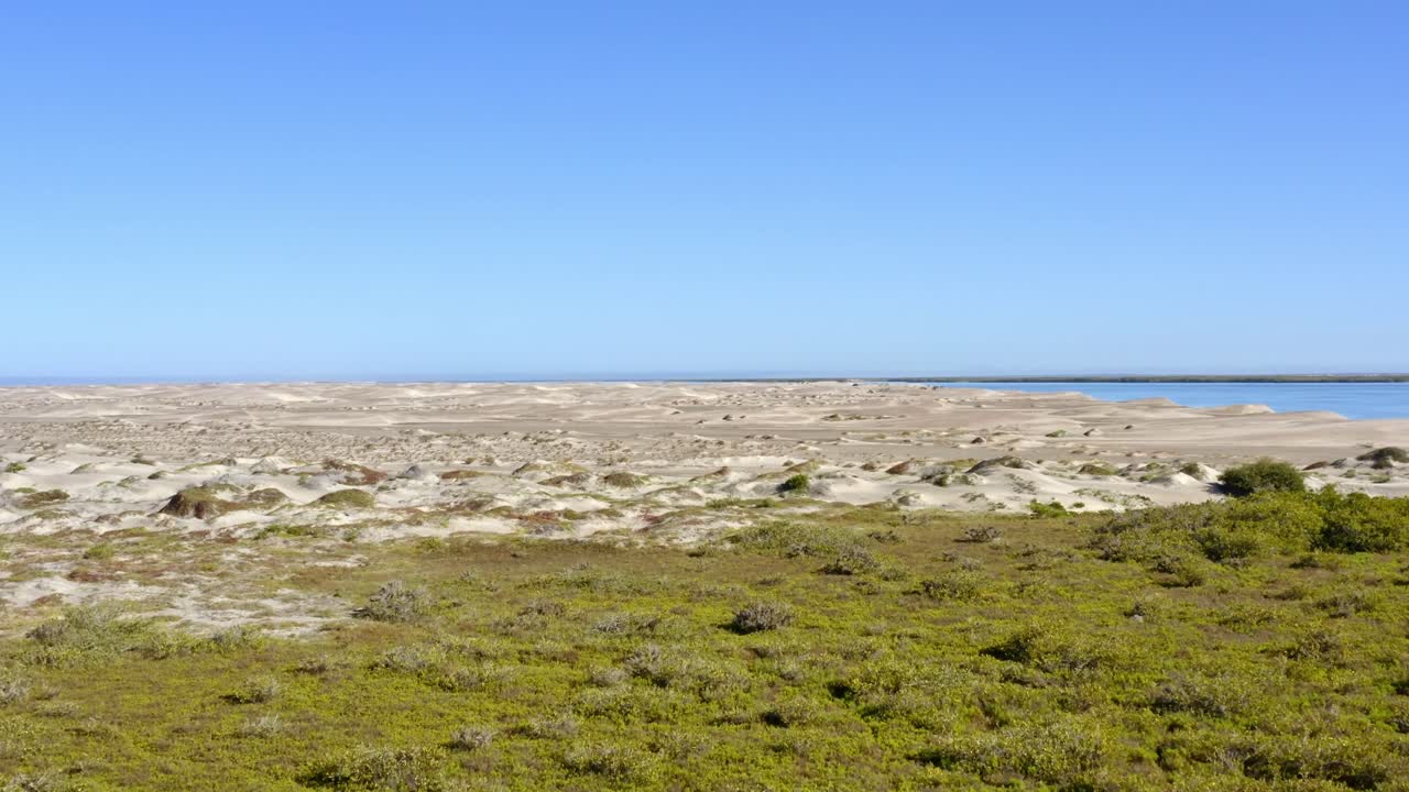 DRONE: HIGH SPEED DOLLY IN SHOT OF THE BEACH AND DUNES IN BAJA CALIFORNIA SUR AT NOON