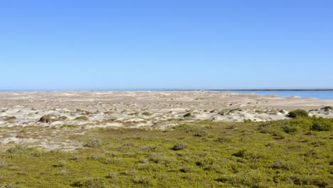 drone: high speed dolly in shot of the beach and dunes in baja california sur at noon