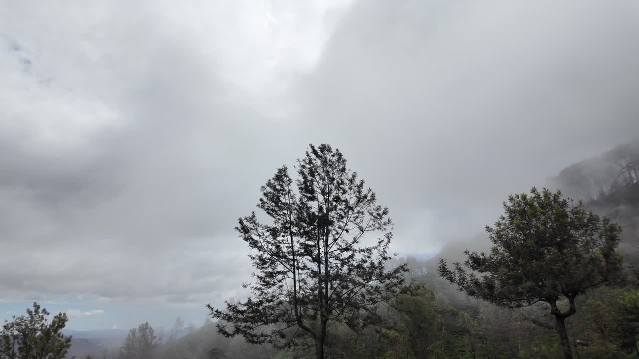 Serene image capturing the misty hillsides of Bandarawela, Sri Lanka, enveloped in soft fog.