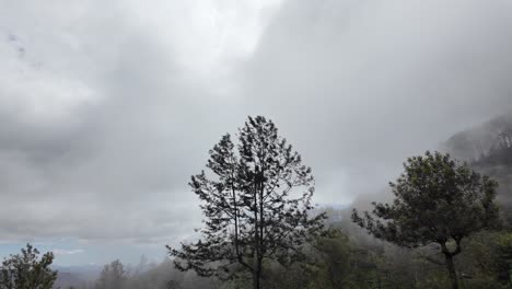 serene image capturing the misty hillsides of bandarawela, sri lanka, enveloped in soft fog.