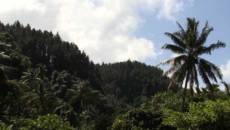 Paisaje-De-La-Isla-De-Tahití,-Polinesia-Francesa