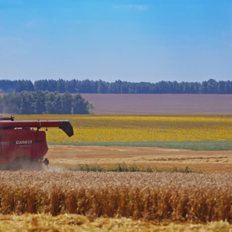 combine working on wheat field