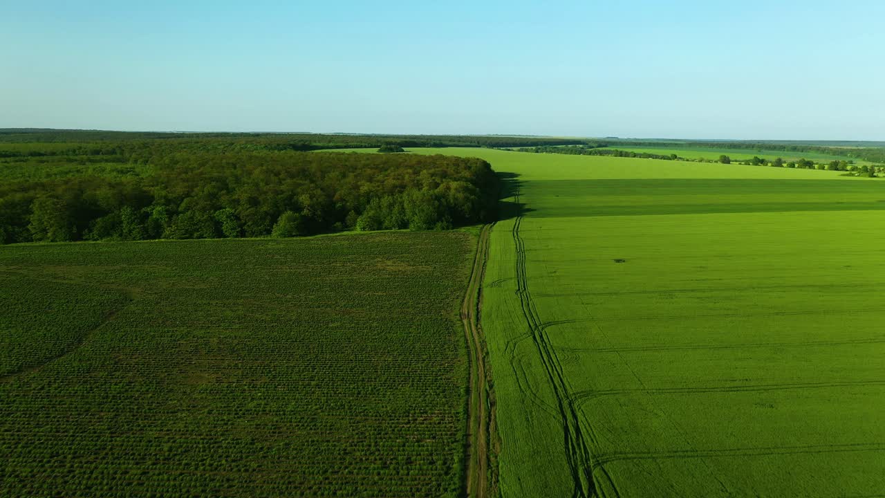 Aerial Footage of Fields and Forest Border Under Clear Blue Sky