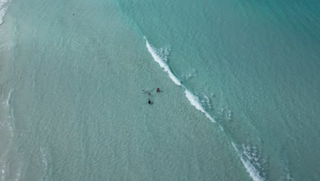 Family-playing-in-transparent-ocean-waters