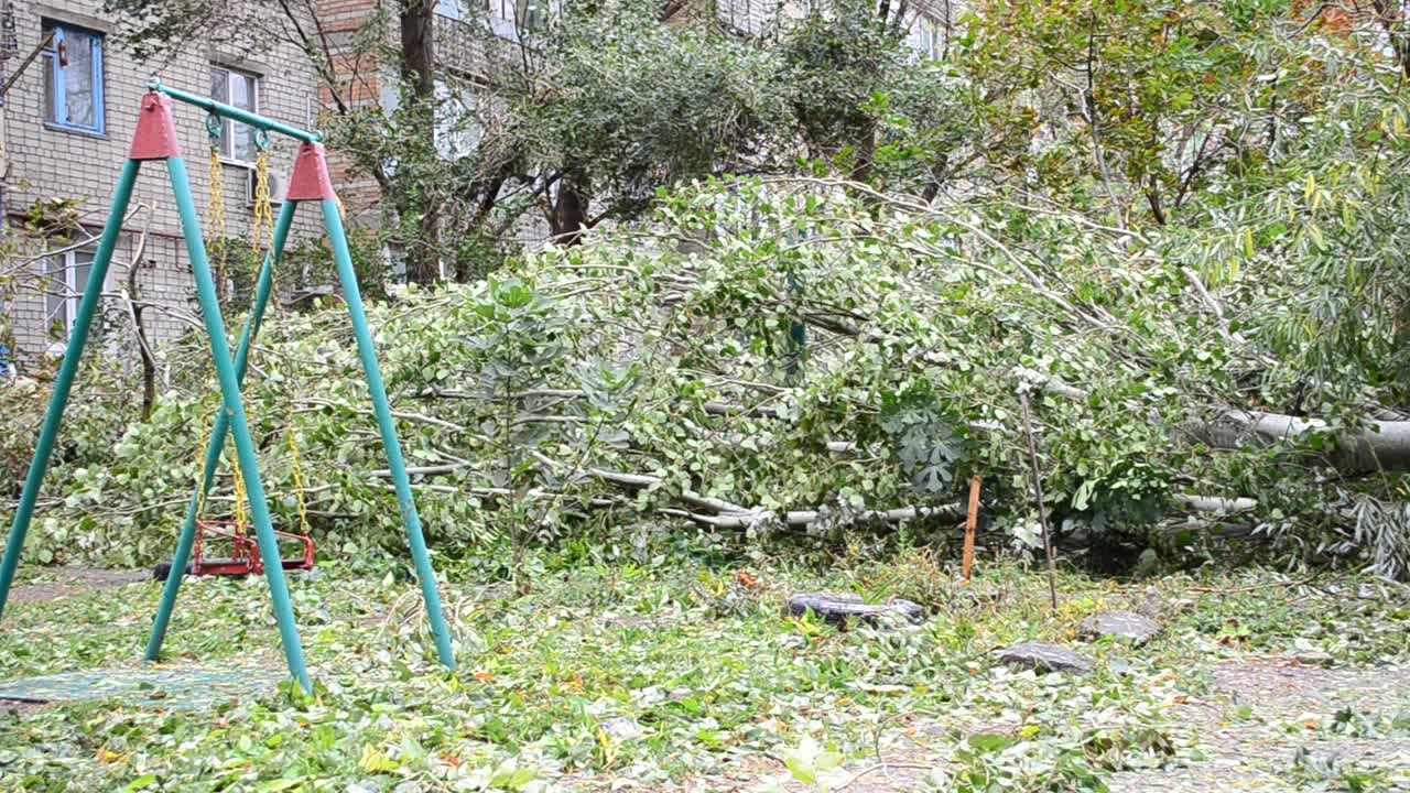 Taipuvat puut. Lasten keinu ja rikkoutuneet puut hurrikaanin jälkeen