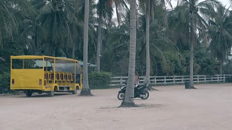 girl learns to ride scooter at tropical trees on parking lot