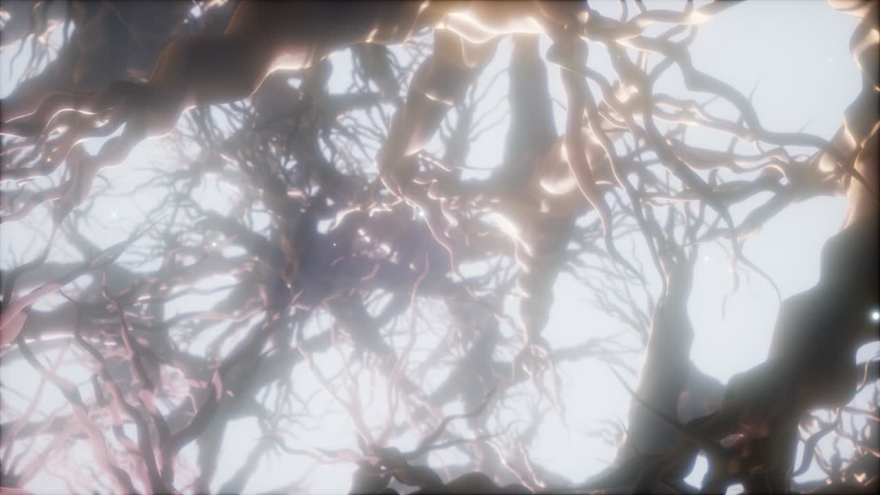 뇌 안의 신경 세포 네트워크를 통해 여행합니다.