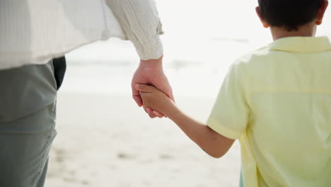 father and son hand in hand on the beach