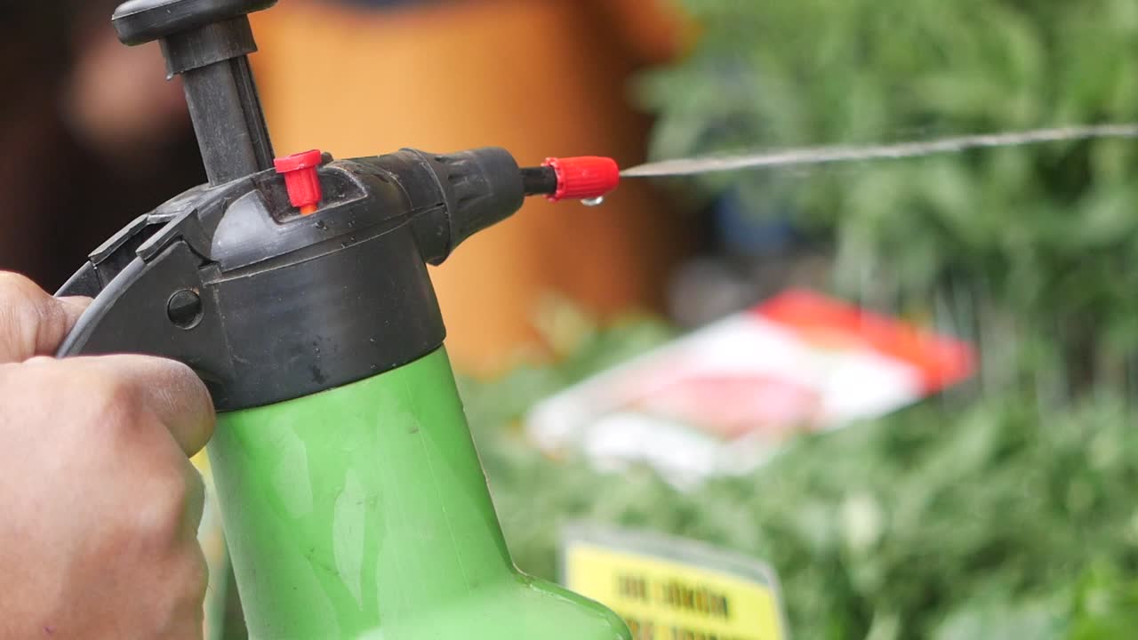 Person spraying plants with handheld sprayer
