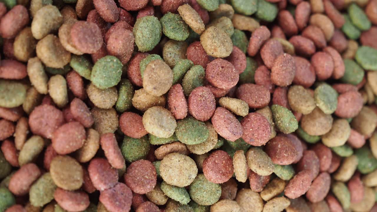 Pile of dog food kibble