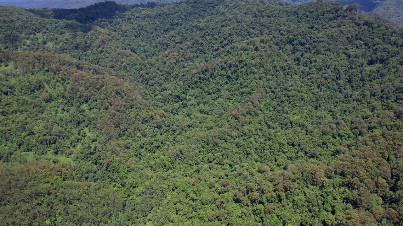 valle de currumbin con exuberante y densa selva tropical en queensland, australia - órbita de aviones no tripulados
