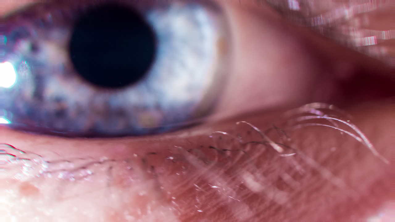 인간 눈의 클로즈업