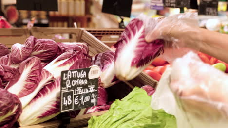 Picking-radicchio-at-grocery-store