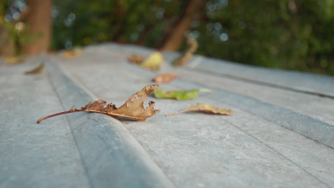 A brown leaf blows in the wind on the hull of a metal boat with a blurry tree background