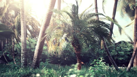 creative tropical green leaves nature spring concept
