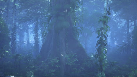una selva profunda y brumosa