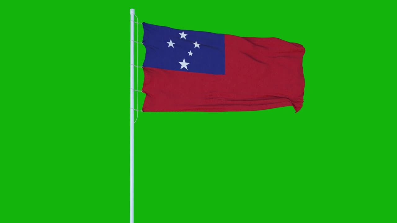 녹색 화면 또는 크로마 키 배경에서 바람에 흔들리는 사모아 발