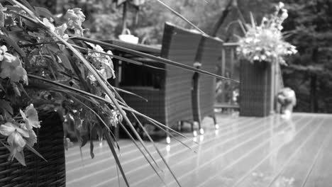 black and white depiction of a suburban backyard, featuring a deck and planters