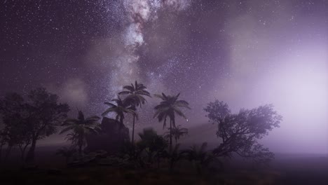 la galaxia de la vía láctea sobre la selva tropical.