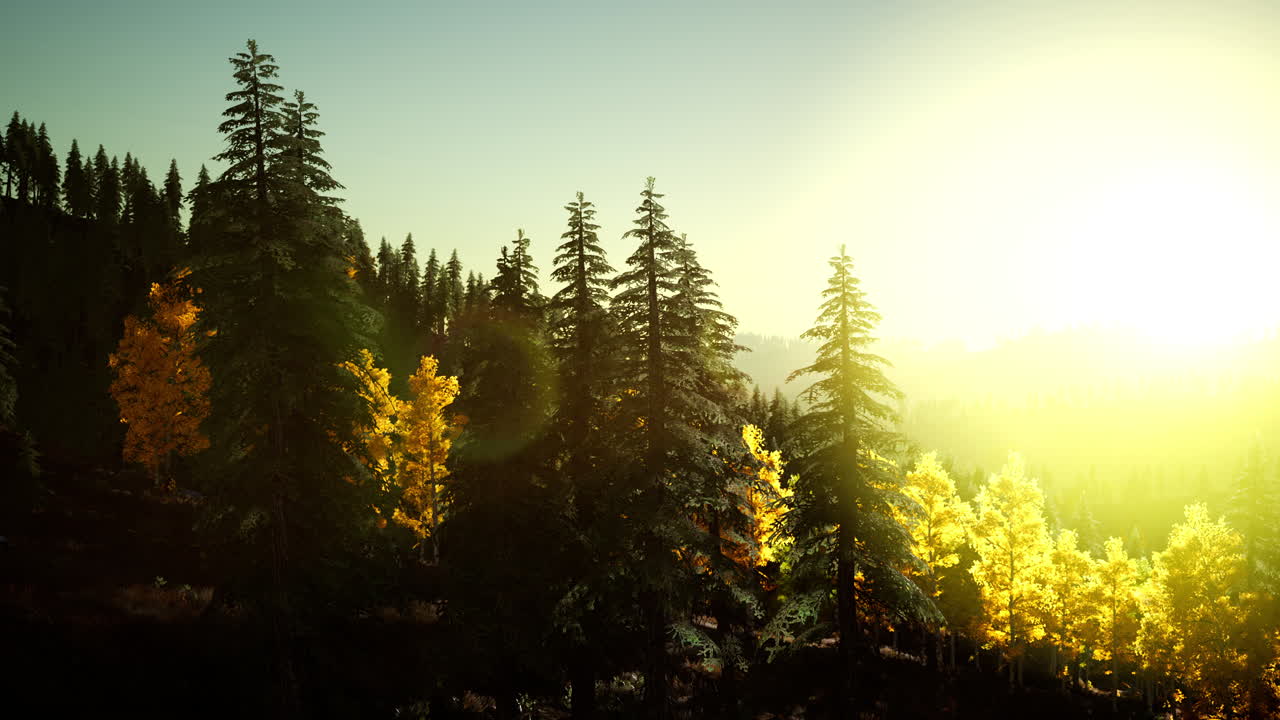 puesta de sol brillante en las montañas