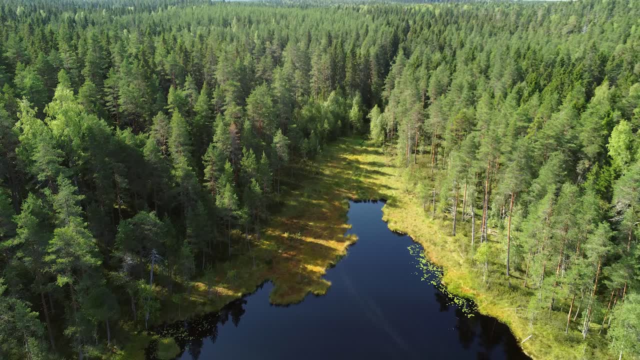 Nature background: Low flyover of reflective lake surface, forest