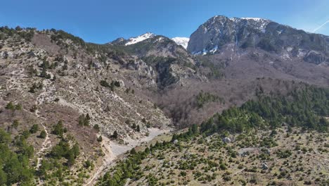 panoramic shot of mountain side with snow on the peak and forest on the base