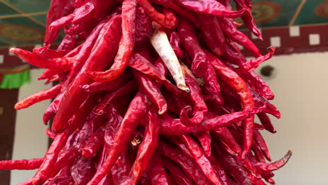 bundle of dry red chilies hanging by the front of the farmer house