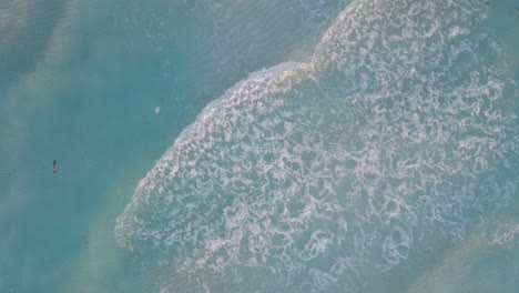 aerial top down shot of rolling waves in a crystal clear blue ocean with white sand beach as birds fly gracefully above the water in cancun, mexico