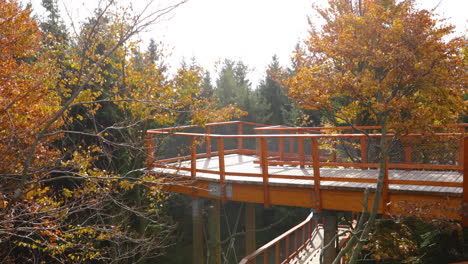 view of treetops moving in strong wind from the side to side and the wooden construction of a viewpoint hitting tree trunks during a sunny autumn day captured in beskids area 4k 60fps