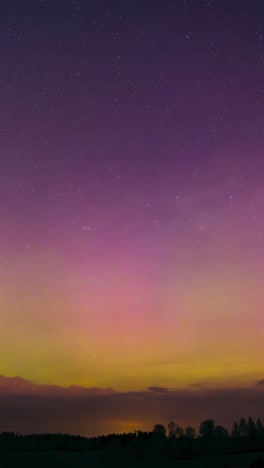 vertical night sky timelapse of glittering stars and violet aurora borealis with tree silhouettes in the background. magical nature phenomenon in the sky.