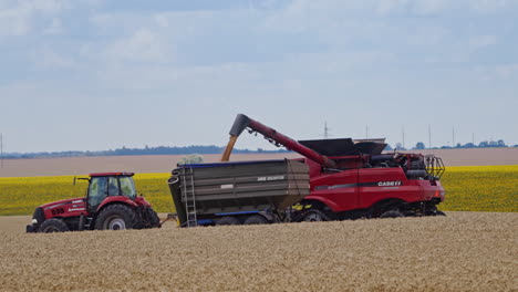combine harvest on field. agriculture machine harvesting golden ripe wheat field