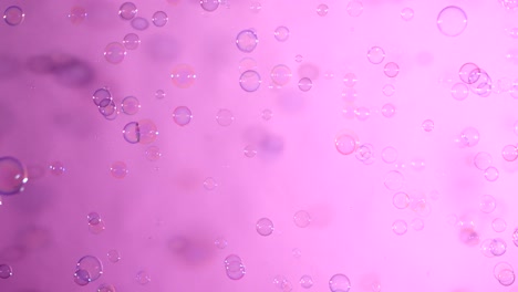 blue and clear soap bubbles on pink background a lot of blue and clear soap bubbles isolated on pink background