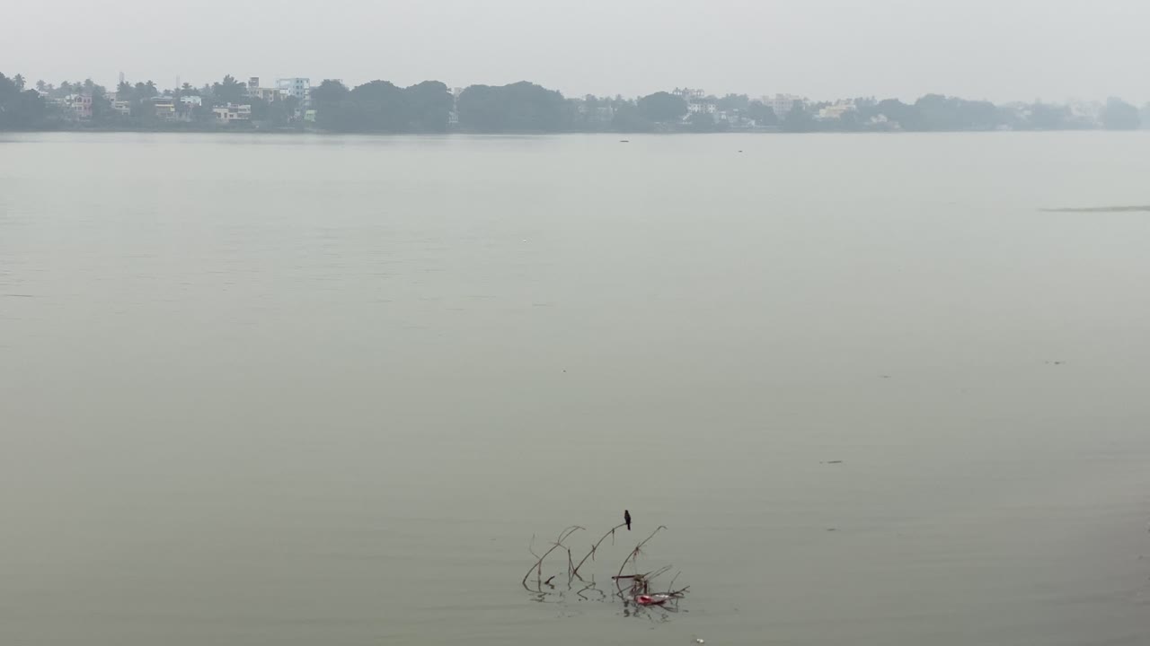 Vidvinkeloptagelse af floden med en lille tynd gren, der er faldet ned, og en fugl, der sidder på den, på en baggrund af naturligt lys. Landskabsudsigt over Kolkata by.