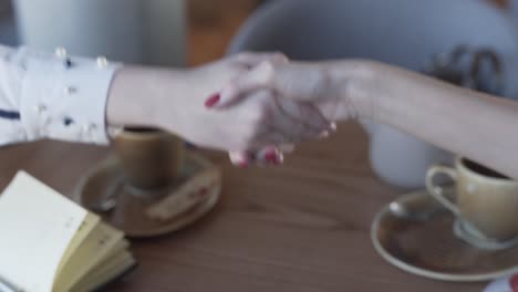 Handshake---Business-Women-Shaking-Hands,-Close-Up