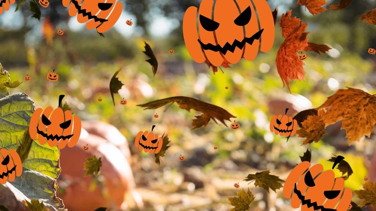 animación de hojas que caen sobre los íconos de la calabaza