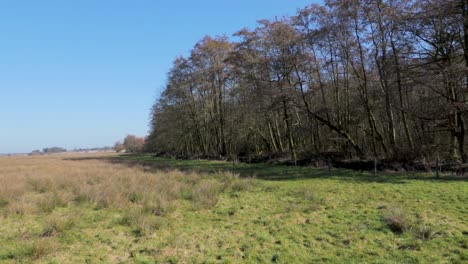 campo con árboles y trigo, panorámica de izquierda a derecha
