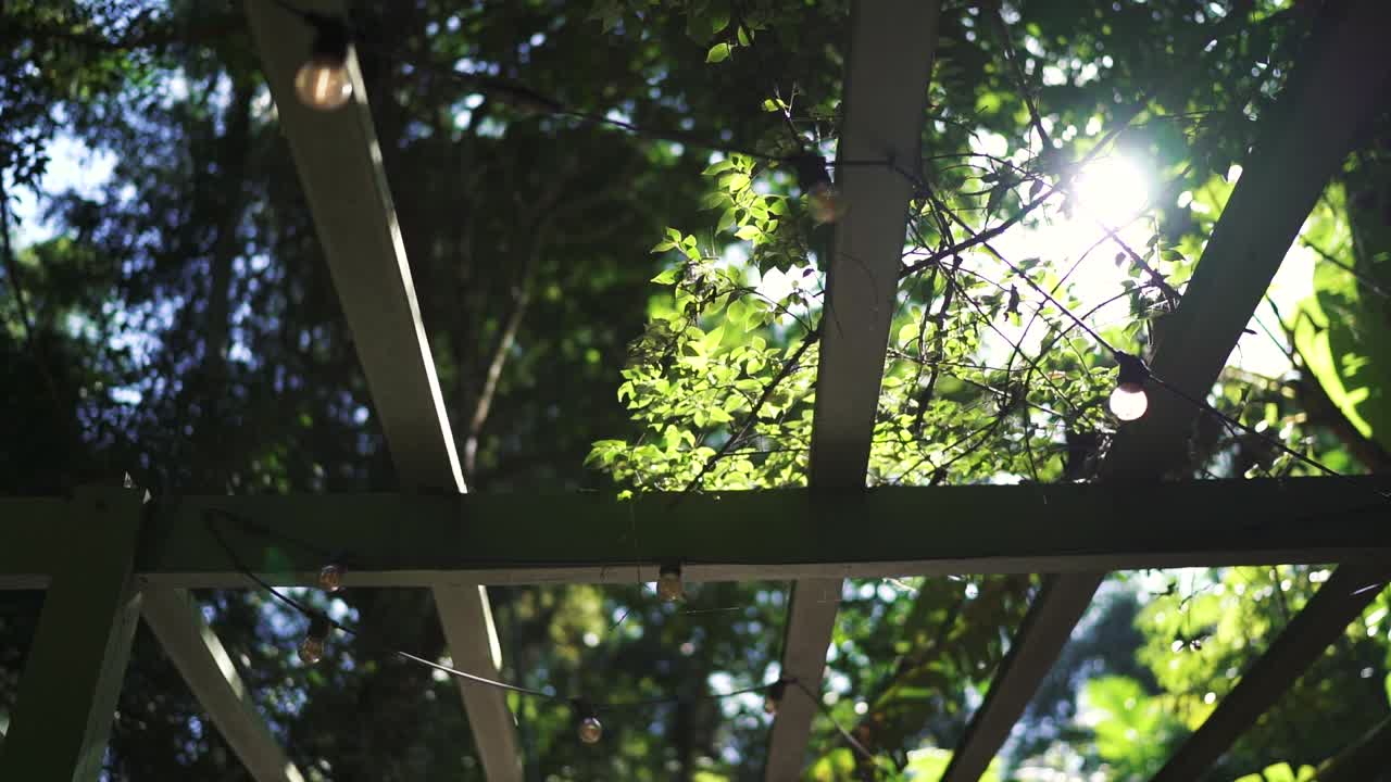 A shot moving slowly through the roof of an arbor in the jungle, with bright sunlight streaming through the leaves and trees, creating a small, cinematic lens flare