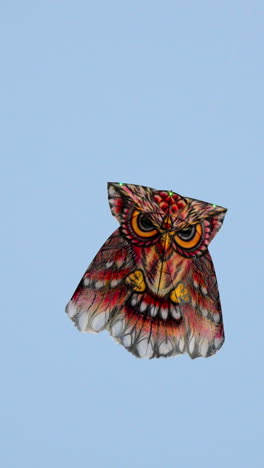 Colourful-Owl-Kite-Floating-In-The-Wind