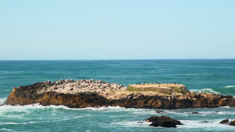 Pescadero-State-Beach-Und-Klippen-Nummer-Drei