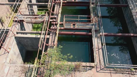 inclinándose hacia arriba desde el agua acumulada en los desagües hacia la torre